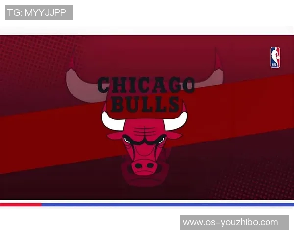 2014年公牛对湖人精彩对决回顾与赛季分析