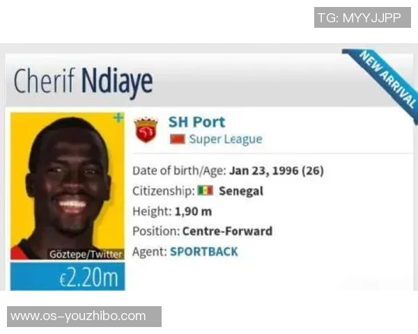 塞内加尔与韩国比赛因故延迟球迷期待新赛程安排